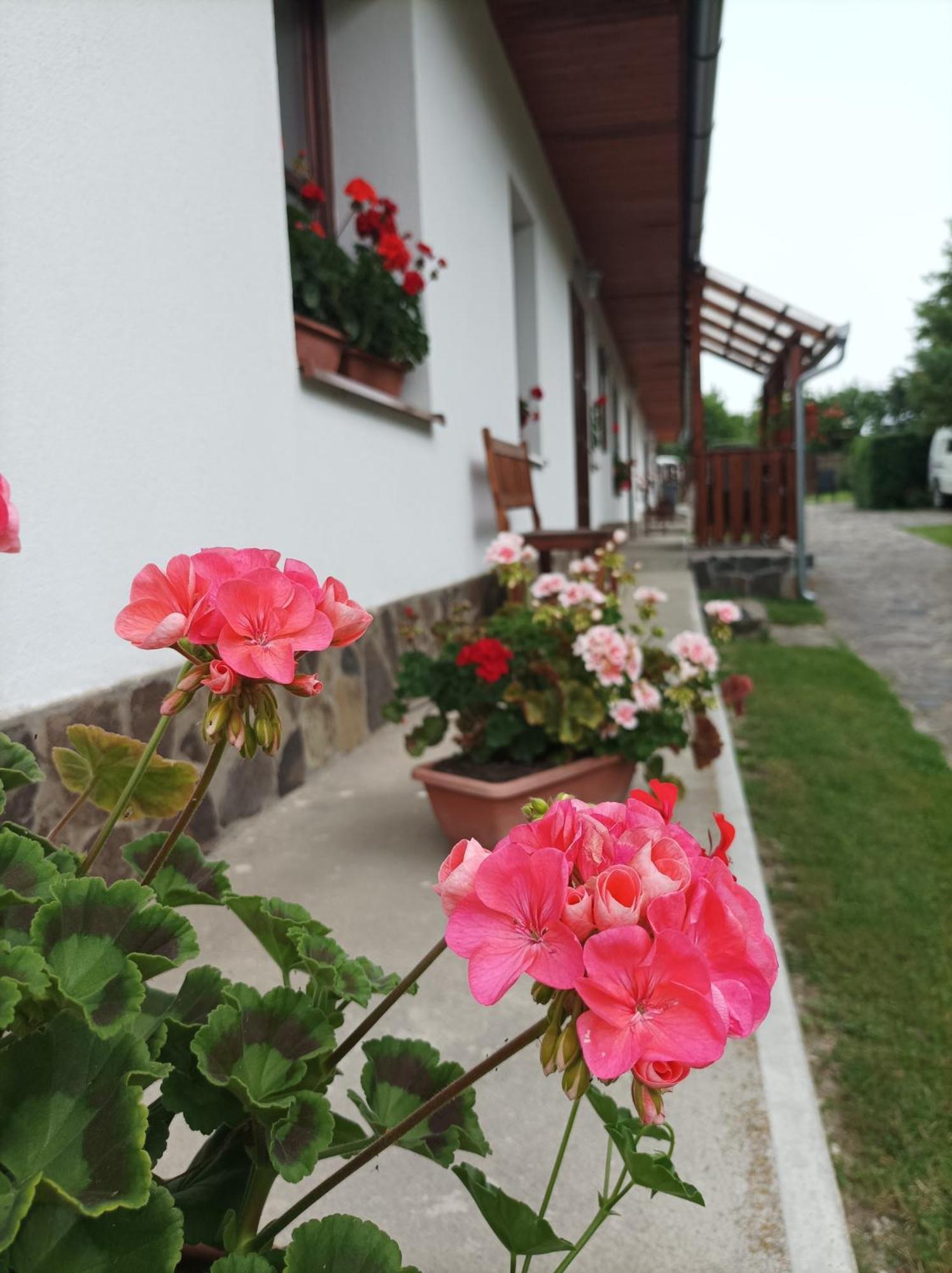 Kemences Vendeghaz Hotel Mikohaza Buitenkant foto